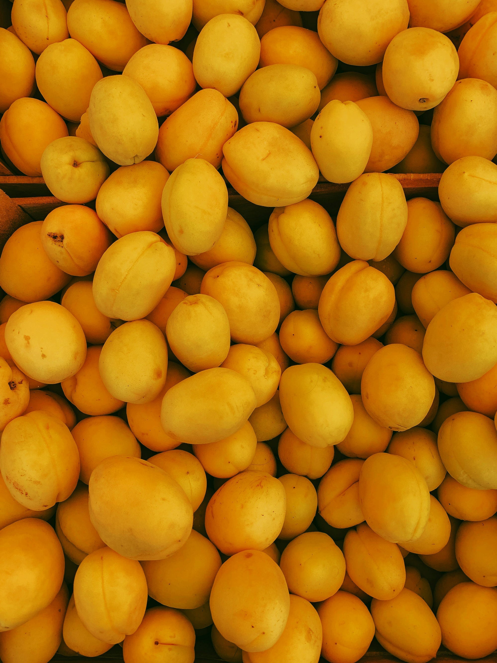 Eau-de-vie de fruits